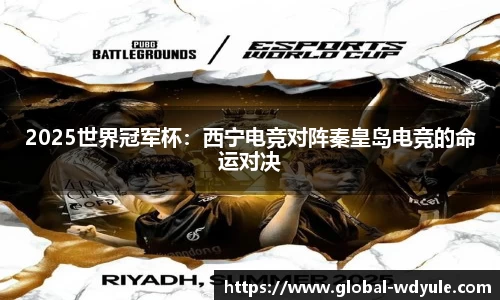 2025世界冠军杯：西宁电竞对阵秦皇岛电竞的命运对决